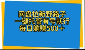 网盘拉新野路子，一键托管有号就行，全自动代发视频，每日躺赚500＋-星璨学社