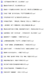 真实有效391套商业模式，年入几十到几百万案例解析（电子书+视频+图文）-星璨学社