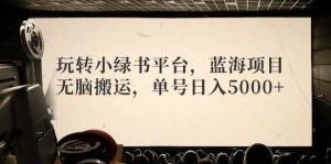 玩转小绿书平台，蓝海项目，无脑搬运，单号日入5000+-星璨学社