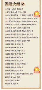 2024钩子·引流课：钩子下得好 流量不再愁，定位篇/标签篇/破播放篇/24节-星璨学社