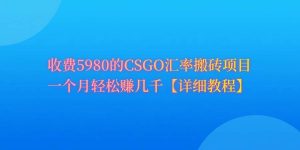 CSGO装备搬砖，月综合收益率高达60%，你也可以！-星璨学社