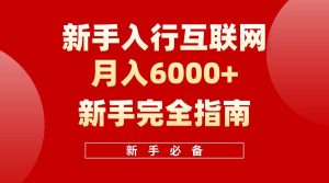 互联网新手月入6000+完全指南 十年创业老兵用心之作,帮助小白快速入门-星璨学社