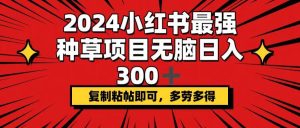2024小红书最强种草项目，无脑日入300+，复制粘帖即可，多劳多得-星璨学社
