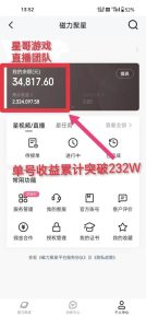 年入百万 普通人翻身项目 ，月收益15万+，不用露脸只说话直播找茬类小游...-星璨学社