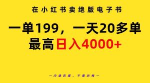 在小红书卖绝版电子书，一单199 一天最多搞20多单，最高日入4000+教程+资料-星璨学社