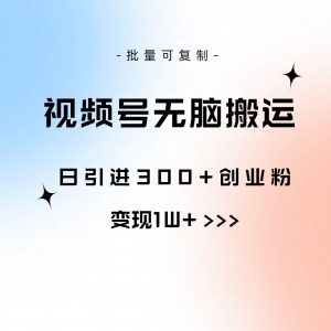 视频号无脑搬运日引300+创业粉，变现1W+可批量复制-星璨学社