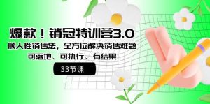 爆款！销冠特训营3.0之顺人性销售法，全方位解决销售难题、可落地、可执行、有结果-星璨学社