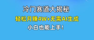 快手无脑搬运冷门赛道视频“仅6个作品 涨粉6万”轻松月赚4W+-星璨学社