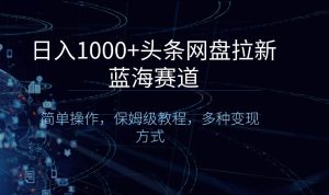 日入1000+头条网盘拉新蓝海赛道，简单操作，保姆级教程，多种变现方式-星璨学社