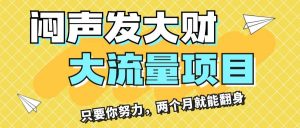闷声发大财，大流量项目，月收益过3万，只要你努力，两个月就能翻身-星璨学社