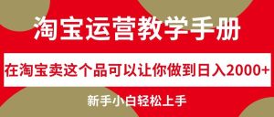 淘宝运营教学手册，在淘宝卖这个品可以让你做到日入2000+，新手小白轻...-星璨学社