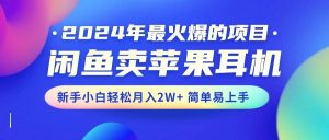 2024年最火爆的项目，闲鱼卖苹果耳机，新手小白轻松月入2W+简单易上手-星璨学社