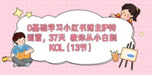 0基础学习小红书博主IP特训营，37天 教你从小白到KOL（13节）-星璨学社