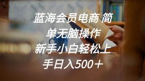 蓝海会员电商 简单无脑操作 新手小白轻松上手日入500＋-星璨学社