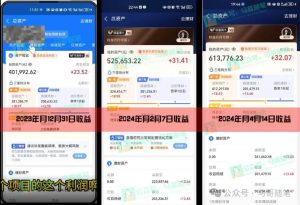 2024年一个人是如何通过“卖项目”实现年入100万-星璨学社