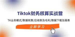 Tiktok财务核算实战营：TK业务模式/数据核算/应收款及毛利/数据下载及报表-星璨学社