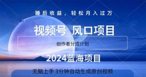 2024蓝海项目，3分钟自动生成视频，月入过万-星璨学社