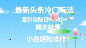 最新头条冷门玩法，隔天就爆，复制粘贴日入500+-星璨学社