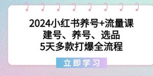 2024小红书养号+流量课：建号、养号、选品，5天多款打爆全流程-星璨学社