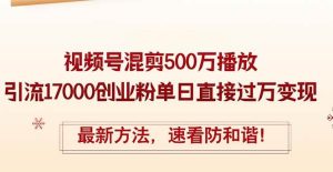 精华帖视频号混剪500万播放引流17000创业粉,单日直接过万变现,最新方...-星璨学社