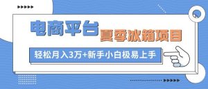 电商平台夏季冰箱项目，轻松月入3万+，新手小白极易上手-星璨学社