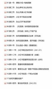 小红书快速赚钱电商特训营：用简单方式通过小红书快速变现！-星璨学社