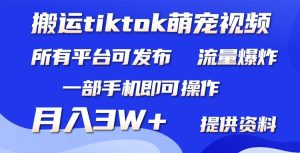 搬运Tiktok萌宠类视频，一部手机即可。所有短视频平台均可操作，月入3W+-星璨学社