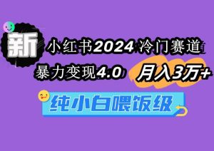 小红书2024冷门赛道 月入3万+ 暴力变现4.0 纯小白喂饭级-星璨学社