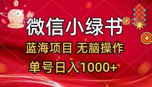 微信小绿书，蓝海项目，无脑操作，一天十几分钟，单号日入1000+-星璨学社