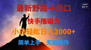 最新风口！快手撸磁力，野路子，小白无脑操作日入2000+-星璨学社