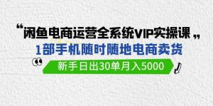闲鱼电商运营全系统VIP实战课，1部手机随时随地卖货，新手日出30单月入5000-星璨学社