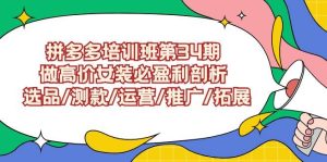拼多多培训班第34期：做高价女装必盈利剖析  选品/测款/运营/推广/拓展-星璨学社
