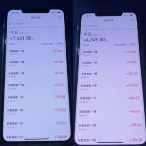 利用淘宝公域+私域差价掘金，日赚1000-5000元，工作室可放大操作，实操...-星璨学社