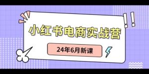 小红书电商实战营:小红书笔记带货和无人直播,24年6月新课-星璨学社