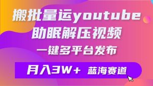 批量搬运YouTube解压助眠视频 一键多平台发布 月入2W+-星璨学社