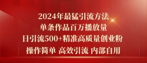 2024年最猛暴力引流方法，单条作品百万播放 单日引流500+高质量精准创业粉-星璨学社