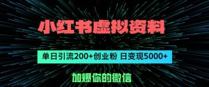 小红书虚拟资料日引流200+创业粉，单日变现5000+-星璨学社