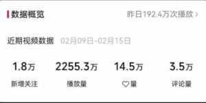 视频号最新100%原创玩法，收益稳定，单日收益1000+，小白专属-星璨学社