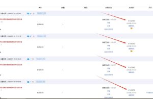 【淘宝小众赛道】高利润女装：1单必赚1000元，超暴力可矩阵-星璨学社