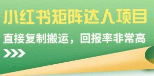 小红书矩阵达人项目，直接复制搬运，回报率非常高-星璨学社