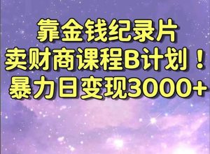靠金钱纪录片卖财商课程B计划！暴力日变现3000+，喂饭式干货教程！-星璨学社