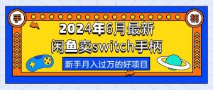 2024年6月最新闲鱼卖switch游戏手柄，新手月入过万的第一个好项目-星璨学社