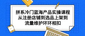 拼系冷门蓝海产品实操课程，从注册店铺到选品上架到流量维护环环相扣-星璨学社