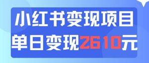 利用小红书卖资料单日引流150人当日变现2610元小白可实操（教程+资料）-星璨学社