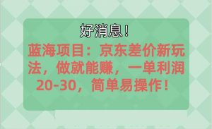 越早知道越能赚到钱的蓝海项目：京东大平台操作，一单利润20-30，简单...-星璨学社