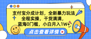 蓝海0门槛，支付宝分成计划，全新暴力玩法，全程实操，干货满满，小白月入1W+-星璨学社
