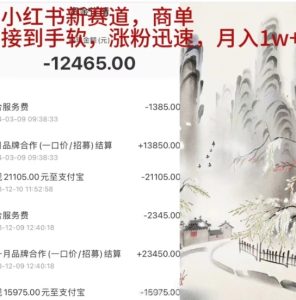 小红书新赛道，商单接到手软，涨粉迅速，一个月1w+-星璨学社