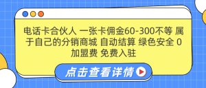 号卡合伙人 一张佣金60-300不等 自动结算 绿色安全-星璨学社