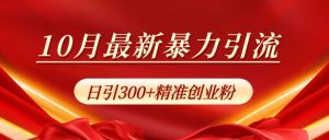 10月最新暴力引流，日引300+精准创业粉-星璨学社