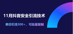 11月抖音安全引流技术，单日引流300+，可批量复制-星璨学社